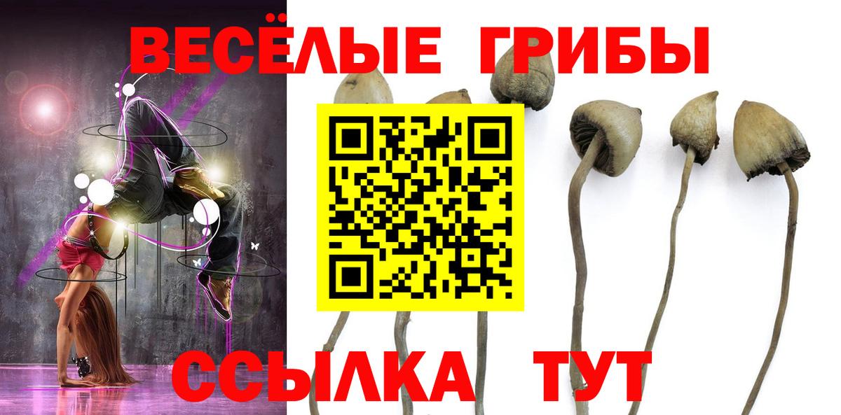 Псилоцибиновые грибы GOLDEN TEACHER Чайковский